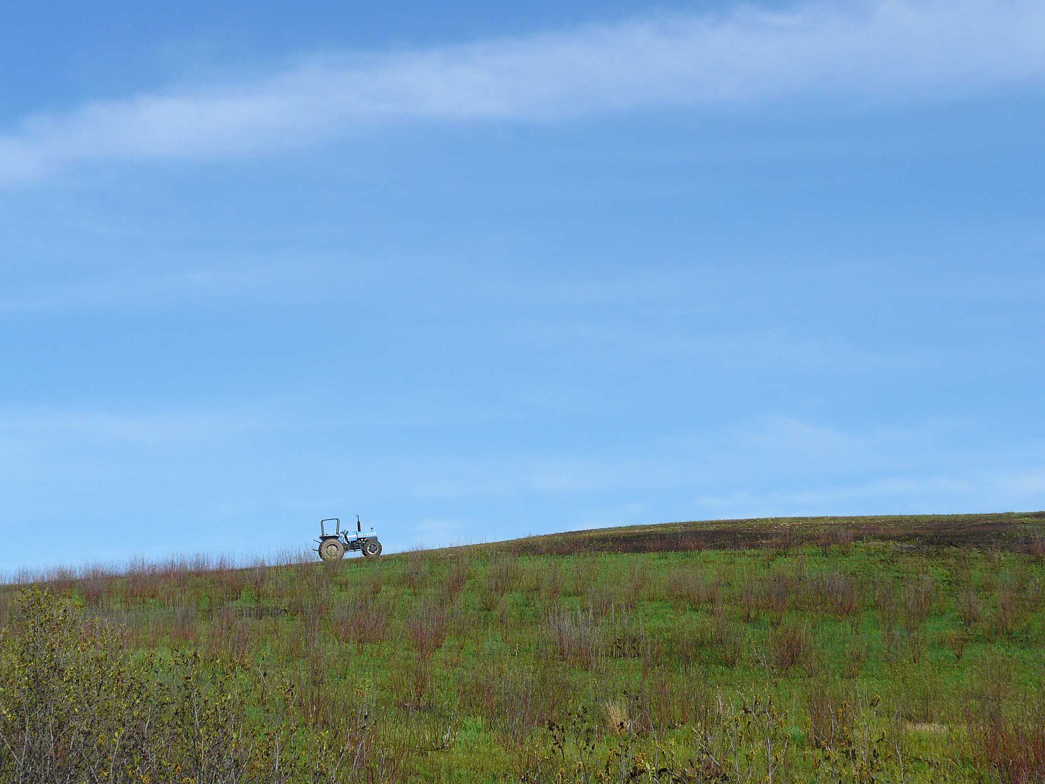 Farm Field near Advocate