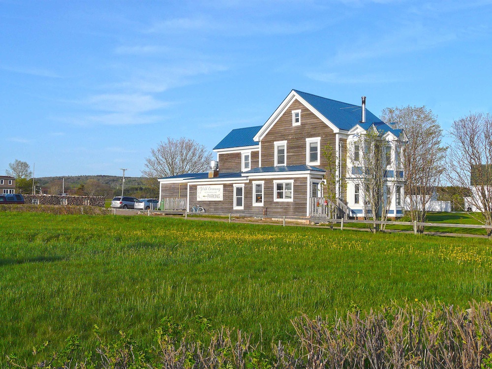 Wild Caraway Restaurant